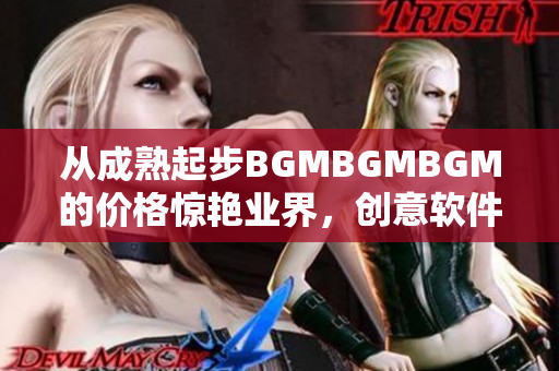 從成熟起步BGMBGMBGM的價(jià)格驚艷業(yè)界，創(chuàng)意軟件必不可少
