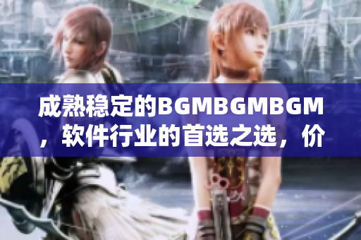 成熟穩(wěn)定的BGMBGMBGM，軟件行業(yè)的首選之選，價格揭秘