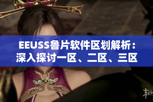 EEUSS魯片軟件區(qū)劃解析：深入探討一區(qū)、二區(qū)、三區(qū)功能差異