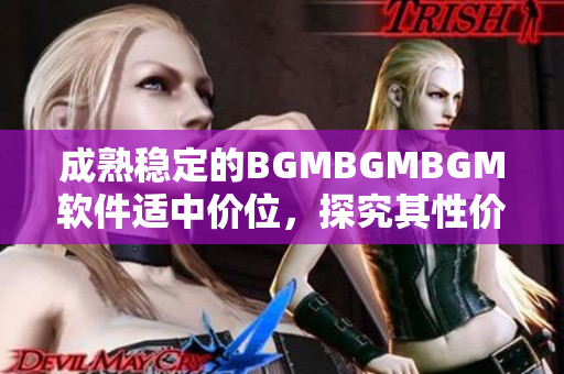 成熟穩(wěn)定的BGMBGMBGM軟件適中價位，探究其性價比的深度評測
