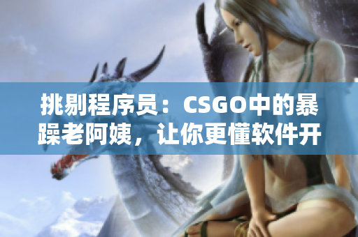 挑剔程序員：CSGO中的暴躁老阿姨，讓你更懂軟件開發(fā)技能