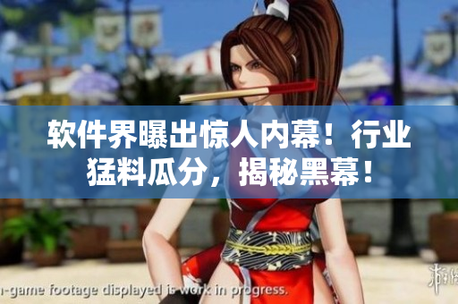軟件界曝出驚人內(nèi)幕！行業(yè)猛料瓜分，揭秘黑幕！