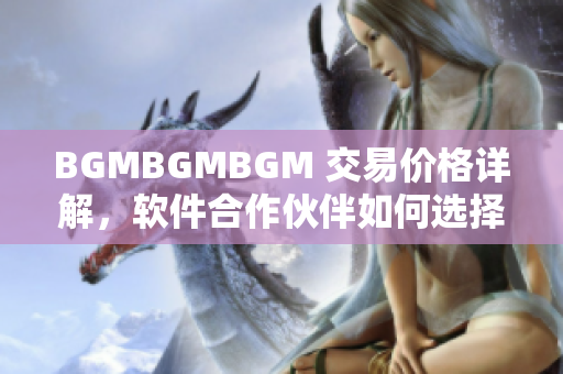 BGMBGMBGM 交易價(jià)格詳解，軟件合作伙伴如何選擇？
