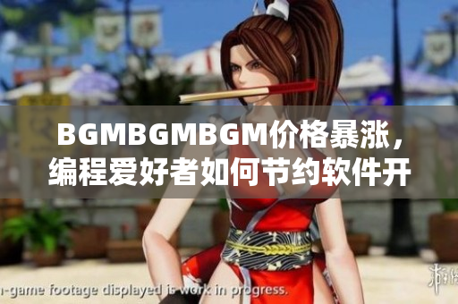 BGMBGMBGM價格暴漲，編程愛好者如何節(jié)約軟件開發(fā)成本？