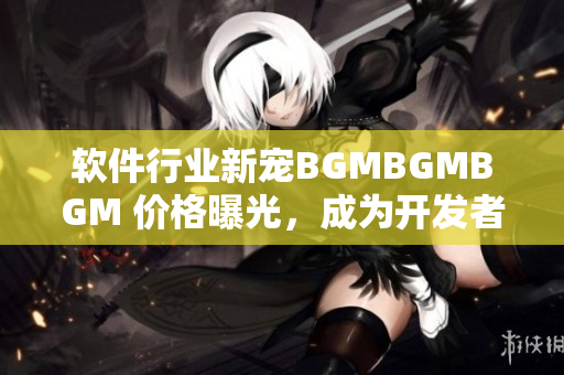 軟件行業(yè)新寵BGMBGMBGM 價格曝光，成為開發(fā)者們的新寵兒