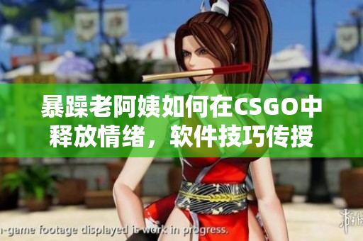 暴躁老阿姨如何在CSGO中釋放情緒，軟件技巧傳授
