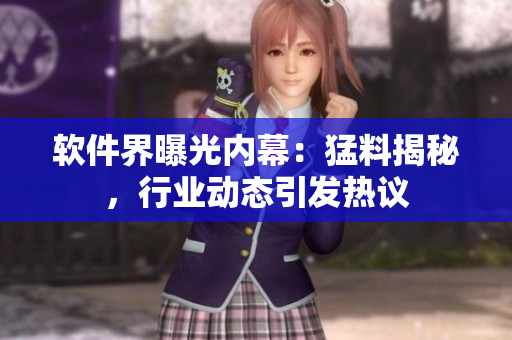 軟件界曝光內(nèi)幕：猛料揭秘，行業(yè)動態(tài)引發(fā)熱議