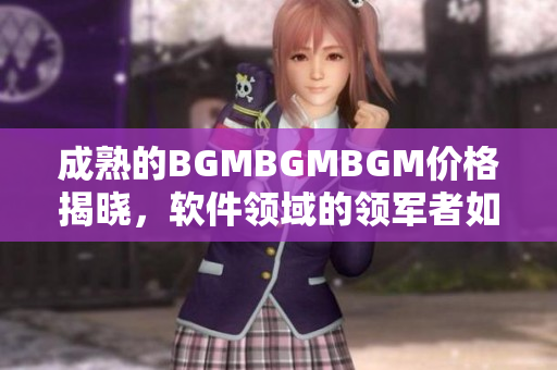 成熟的BGMBGMBGM價(jià)格揭曉，軟件領(lǐng)域的領(lǐng)軍者如何選擇最佳合作伙伴？