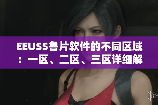 EEUSS魯片軟件的不同區(qū)域：一區(qū)、二區(qū)、三區(qū)詳細(xì)解析