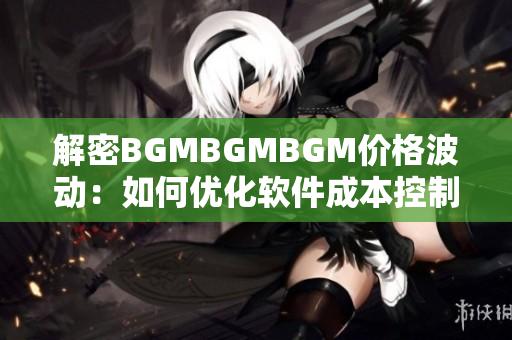 解密BGMBGMBGM價格波動：如何優(yōu)化軟件成本控制策略？