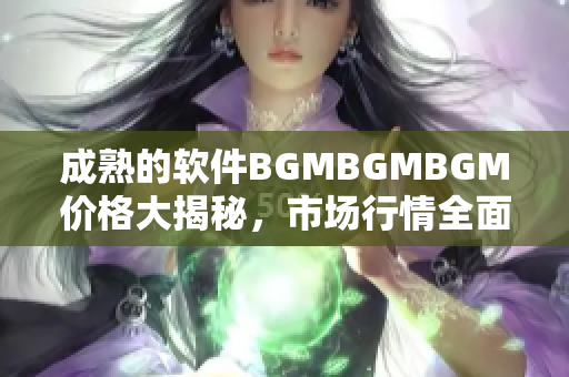成熟的軟件BGMBGMBGM價格大揭秘，市場行情全面分析