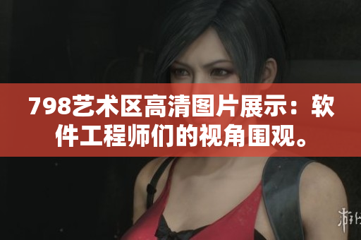 798藝術(shù)區(qū)高清圖片展示：軟件工程師們的視角圍觀。