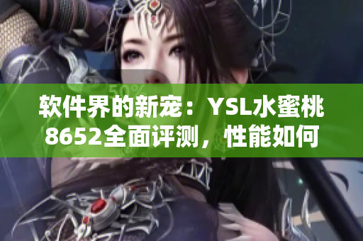 軟件界的新寵：YSL水蜜桃8652全面評測，性能如何？