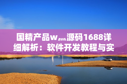 國精產(chǎn)品w灬源碼1688詳細解析：軟件開發(fā)教程與實例分析