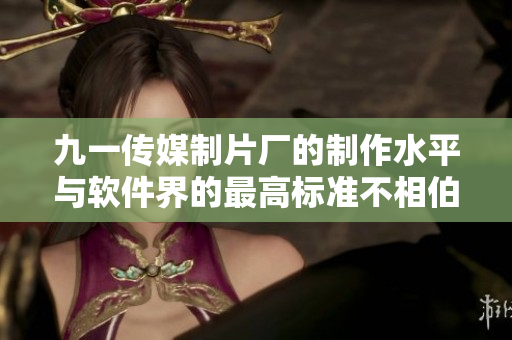九一傳媒制片廠的制作水平與軟件界的最高標(biāo)準(zhǔn)不相伯仲