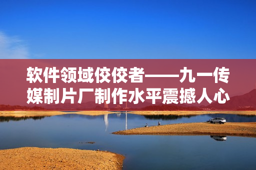 軟件領域佼佼者——九一傳媒制片廠制作水平震撼人心