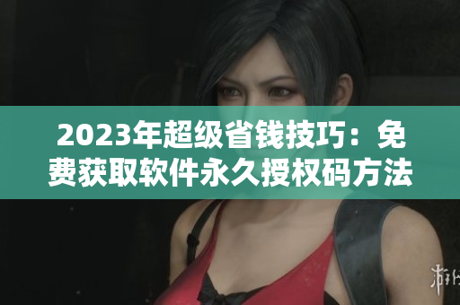 2023年超級省錢技巧：免費獲取軟件永久授權(quán)碼方法揭秘