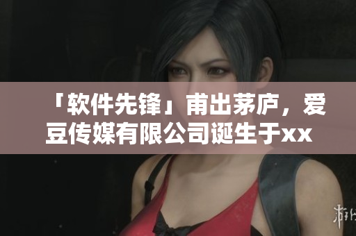 「軟件先鋒」甫出茅廬，愛豆傳媒有限公司誕生于xxxx年！