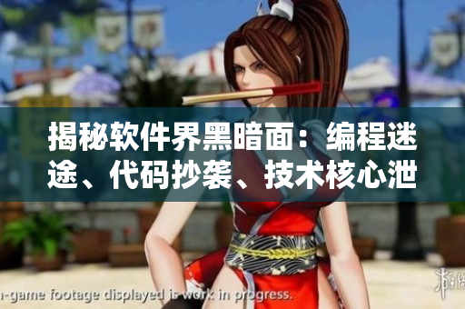 揭秘軟件界黑暗面：編程迷途、代碼抄襲、技術(shù)核心泄露