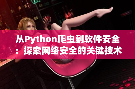 從Python爬蟲到軟件安全：探索網(wǎng)絡(luò)安全的關(guān)鍵技術(shù)
