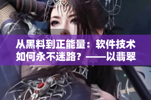 從黑料到正能量：軟件技術(shù)如何永不迷路？——以翡翠手鐲為例