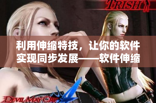 利用伸縮特技，讓你的軟件實(shí)現(xiàn)同步發(fā)展——軟件伸縮技術(shù)的應(yīng)用視頻教程