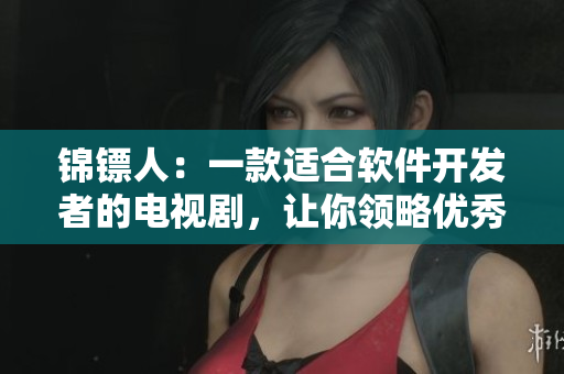 錦鏢人：一款適合軟件開發(fā)者的電視劇，讓你領(lǐng)略優(yōu)秀代碼之美！