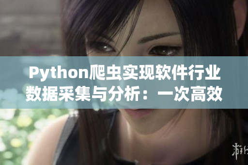 Python爬蟲實現(xiàn)軟件行業(yè)數(shù)據(jù)采集與分析：一次高效的技術(shù)晉升之旅。