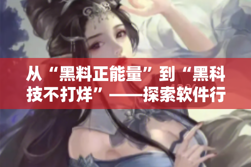 從“黑料正能量”到“黑科技不打烊”——探索軟件行業(yè)24小時(shí)不停歇的奧秘