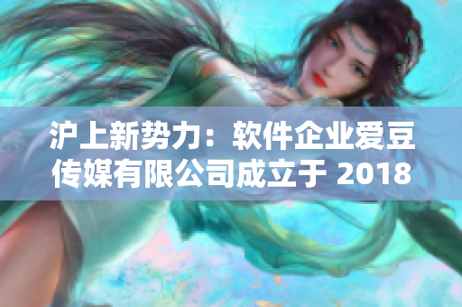 滬上新勢(shì)力：軟件企業(yè)愛豆傳媒有限公司成立于 2018 年