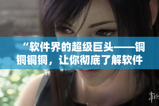 “軟件界的超級巨頭——銅銅銅銅，讓你徹底了解軟件的未來發(fā)展趨勢”