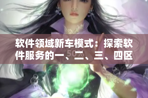 軟件領(lǐng)域新車(chē)模式：探索軟件服務(wù)的一、二、三、四區(qū)別