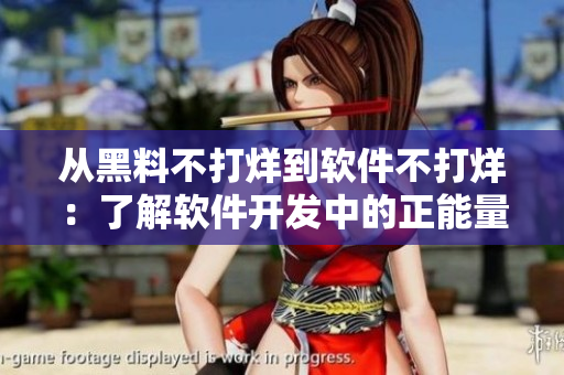 從黑料不打烊到軟件不打烊：了解軟件開(kāi)發(fā)中的正能量和黑料