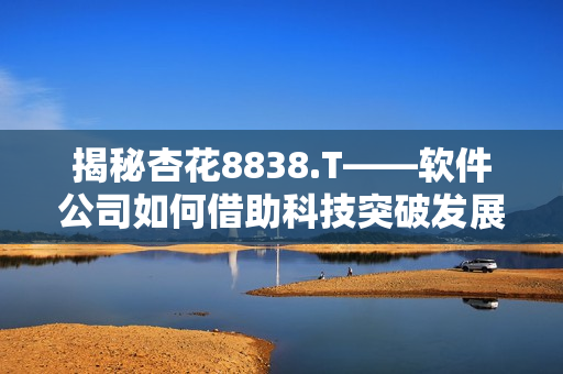 揭秘杏花8838.T——軟件公司如何借助科技突破發(fā)展瓶頸