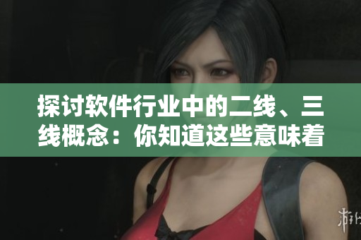 探討軟件行業(yè)中的二線、三線概念：你知道這些意味著什么嗎？