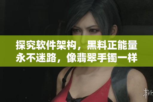 探究軟件架構(gòu)，黑料正能量永不迷路，像翡翠手鐲一樣閃耀真光芒！