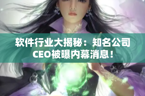 軟件行業(yè)大揭秘：知名公司CEO被曝內幕消息！